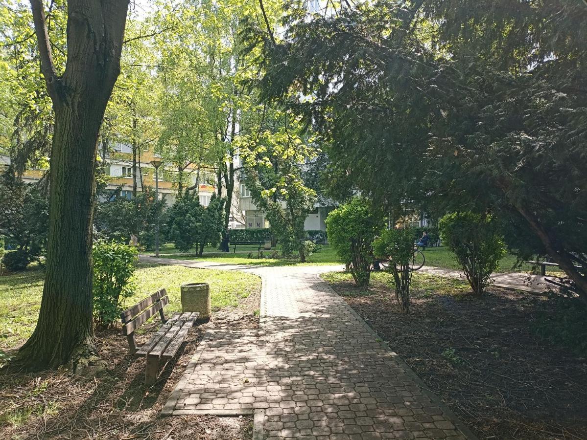 באניה לוקה Green Oasis מראה חיצוני תמונה